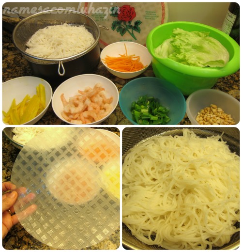 Ingredientes para o spring roll, folha de arroz e noodles